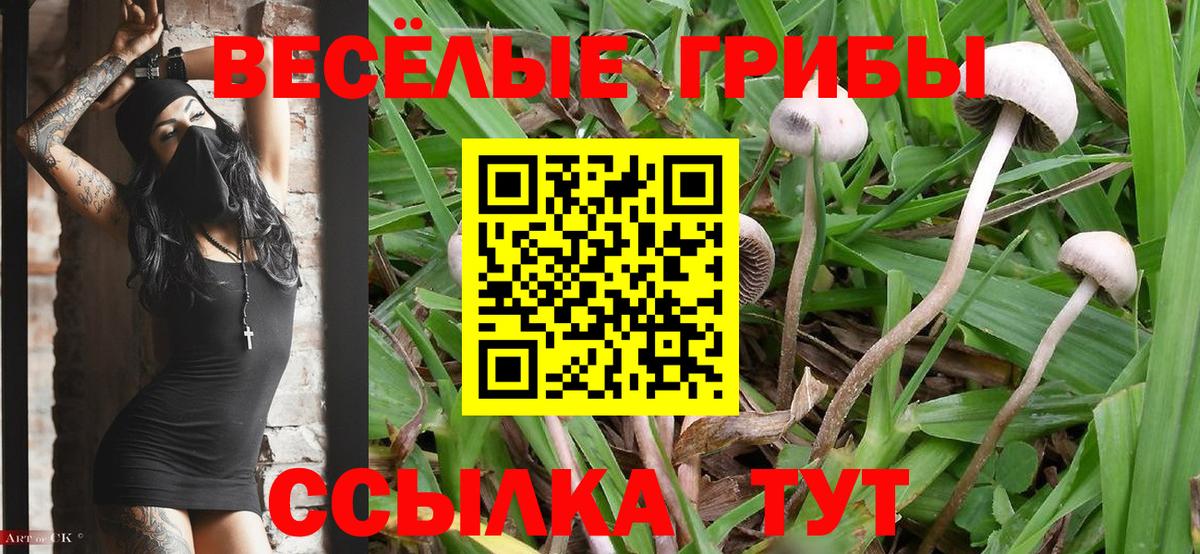Галлюциногенные грибы ЛСД Октябрьский